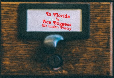 Cabinet Of Heed Contents Drawer 11.17