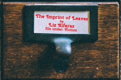 Cabinet Of Heed Contents Drawer 11.20