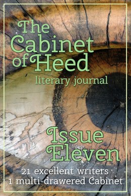 The Cabinet Of Heed Issue 11 Cover