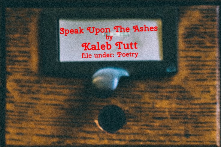 Cabinet Of Heed Contents Drawer 12.23