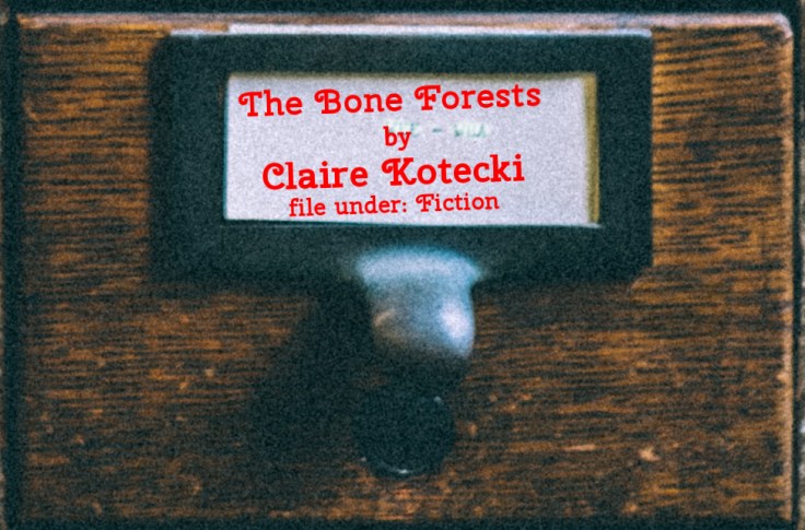 Cabinet Of Heed Contents Drawer 14.06