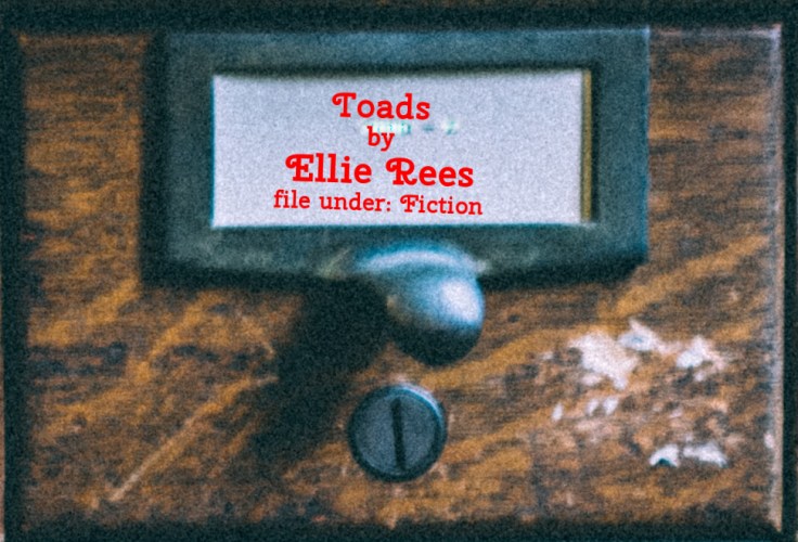 Cabinet Of Heed Contents Drawer 14.14