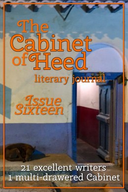 the cabinet of heed issue 16 cover