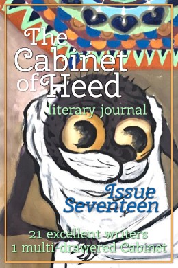 The Cabinet Of Heed Issue 17 Cover