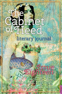 The Cabinet Of Heed Issue 18 Cover