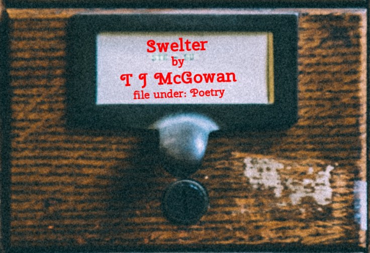 Cabinet Of Heed Contents Drawer 19.05