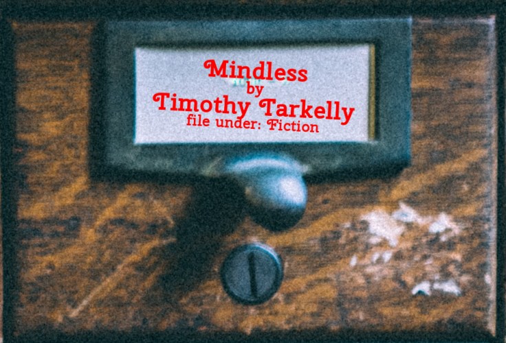 Cabinet Of Heed Contents Drawer 22.07