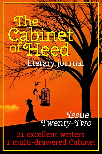 The Cabinet Of Heed Issue 22 Cover