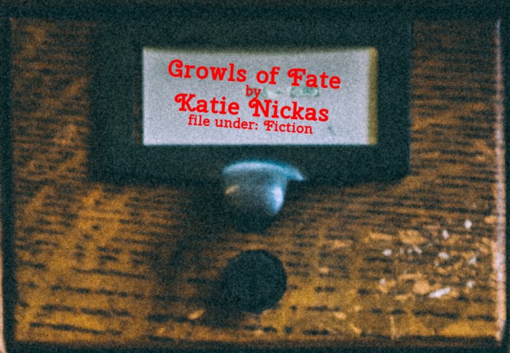 Cabinet Of Heed Contents Drawer 23.18