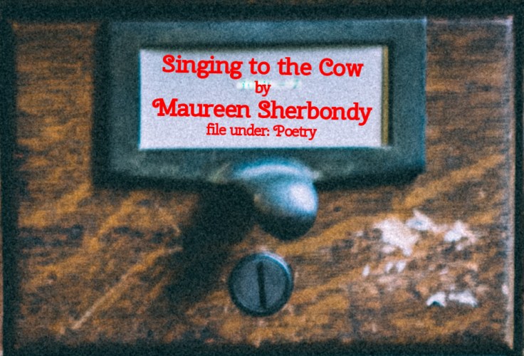 Cabinet Of Heed Contents Drawer 24.21