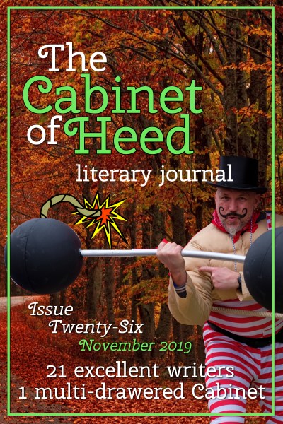 The Cabinet Of Heed Issue 26 Cover