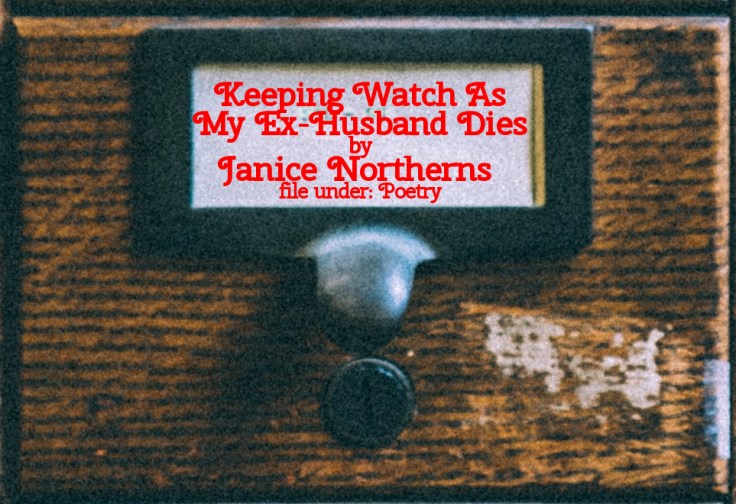 Cabinet Of Heed Contents Drawer 27.05