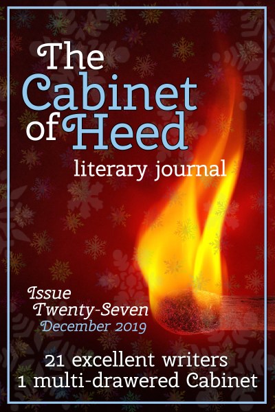 The Cabinet Of Heed Issue 27 Cover