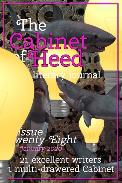 The Cabinet Of Heed Issue 28 Cover