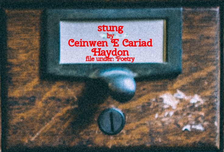 Cabinet Of Heed Contents Drawer 30.07