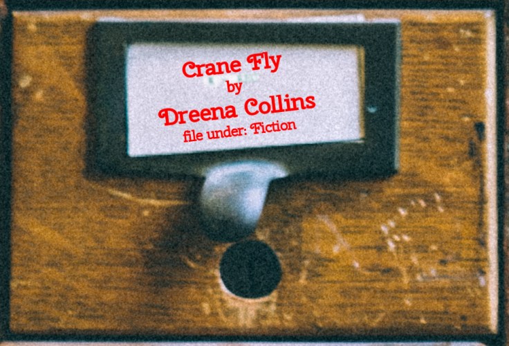 Cabinet Of Heed Contents Drawer 30.15