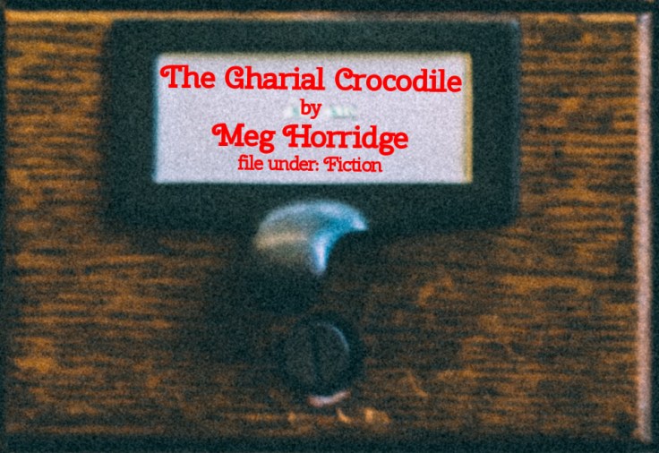 Cabinet Of Heed Contents Drawer 30.17