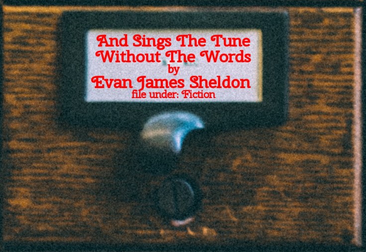 Cabinet Of Heed Contents Drawer 32.03