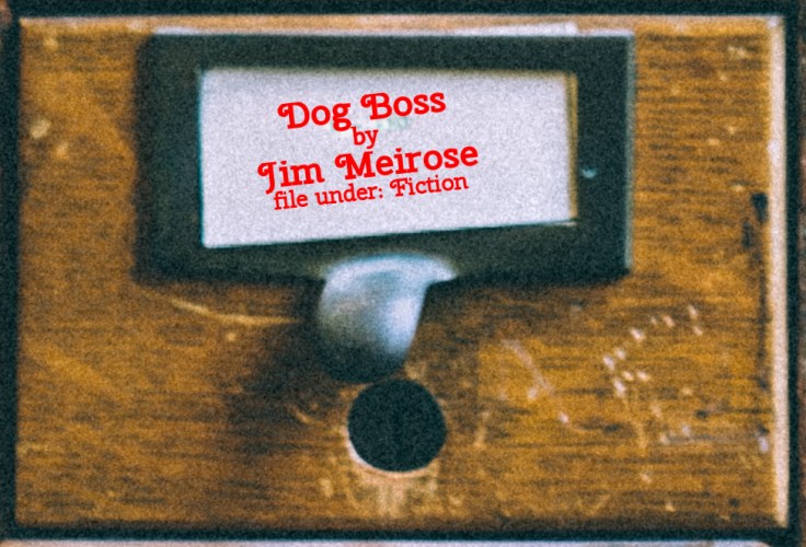 Cabinet Of Heed Contents Drawer 32.08