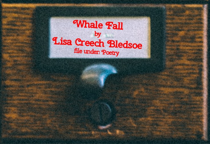 Cabinet Of Heed Contents Drawer 32.17