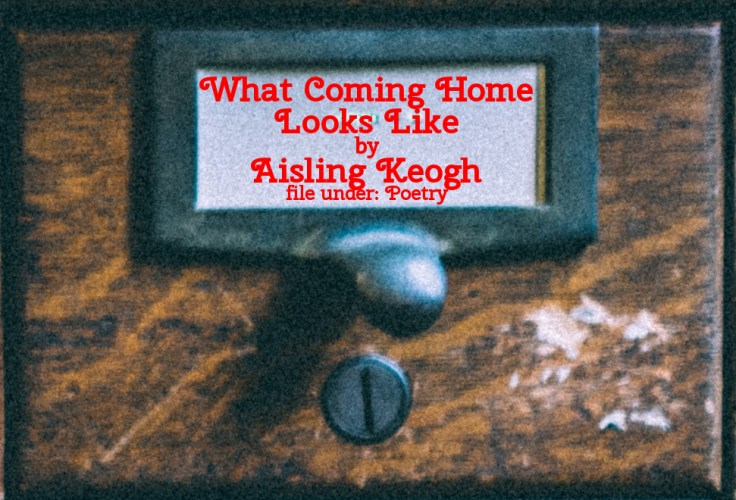 Cabinet Of Heed Contents Drawer 33.14