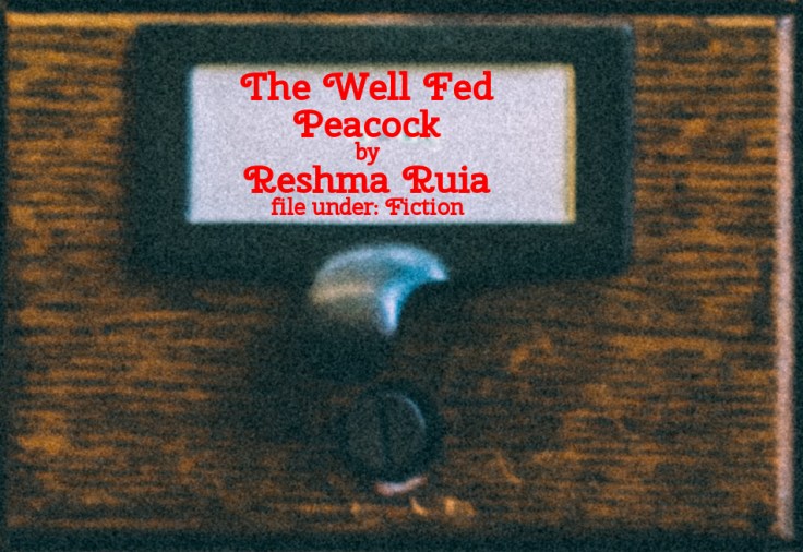 Cabinet Of Heed Contents Drawer 35.10