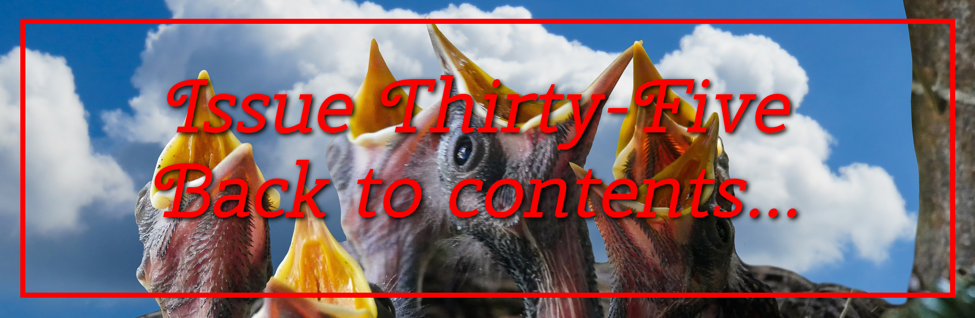 The Cabinet Of Heed Issue 35 Contents Link