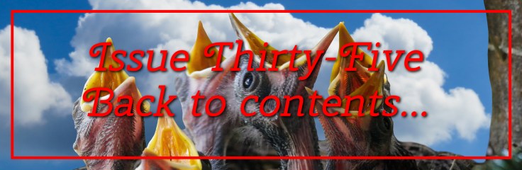 The Cabinet Of Heed Issue 35 Contents Link