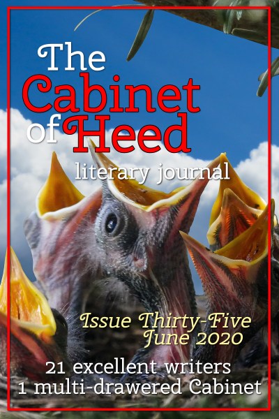 The Cabinet Of Heed Issue 35 Cover