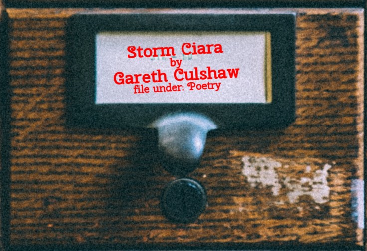 Cabinet Of Heed Contents Drawer 36.05