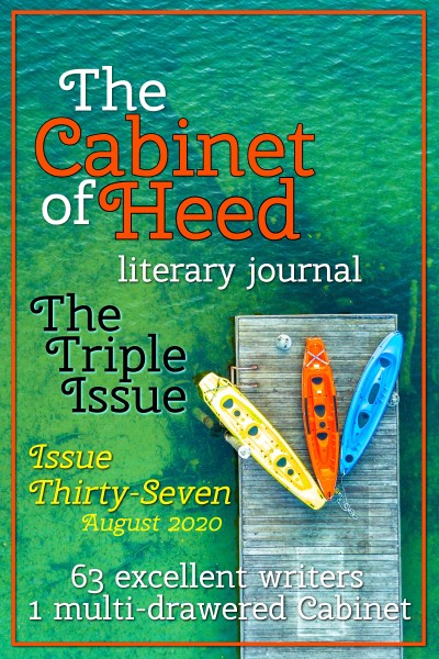 The Cabinet Of Heed Issue 37 Cover