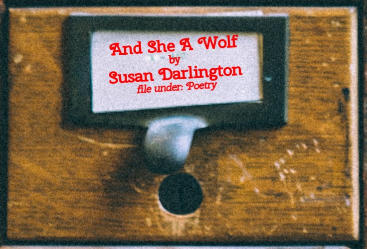 Cabinet Of Heed Contents Drawer 39.01