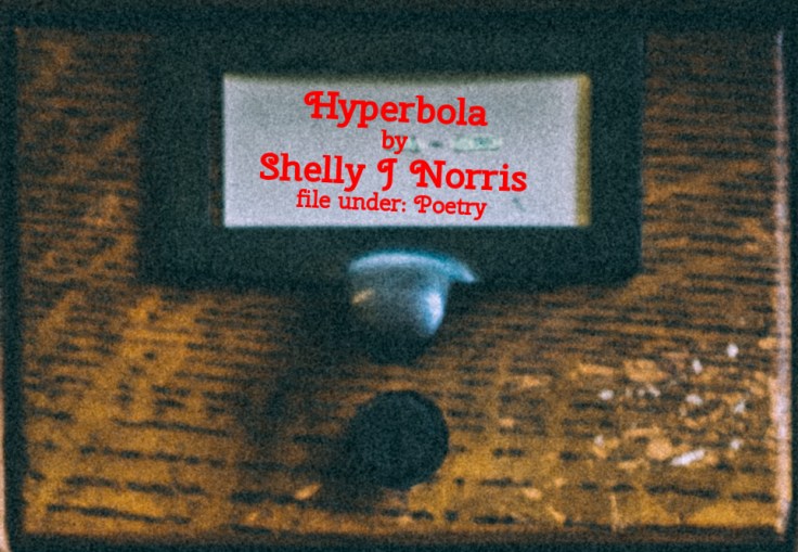 Cabinet Of Heed Contents Drawer 39.11