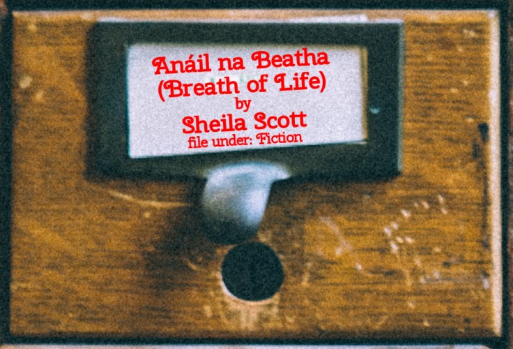 Cabinet Of Heed Contents Drawer 39.15