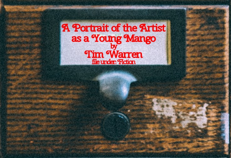 Cabinet Of Heed Contents Drawer 39.19