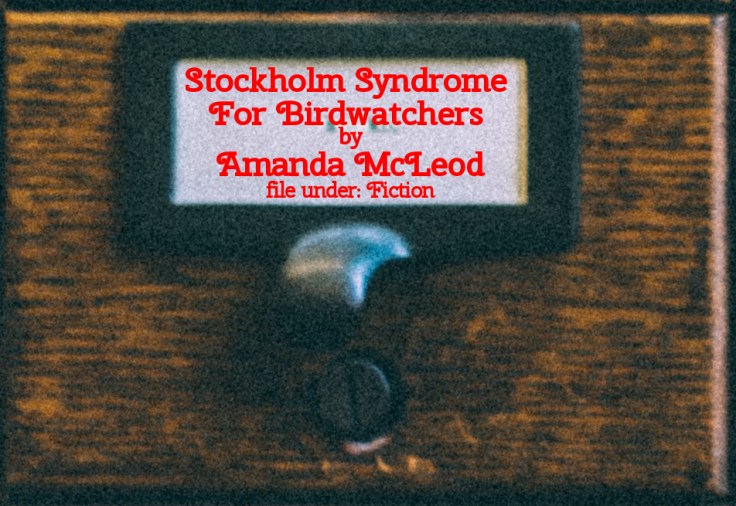 Cabinet Of Heed Contents Drawer 41.03