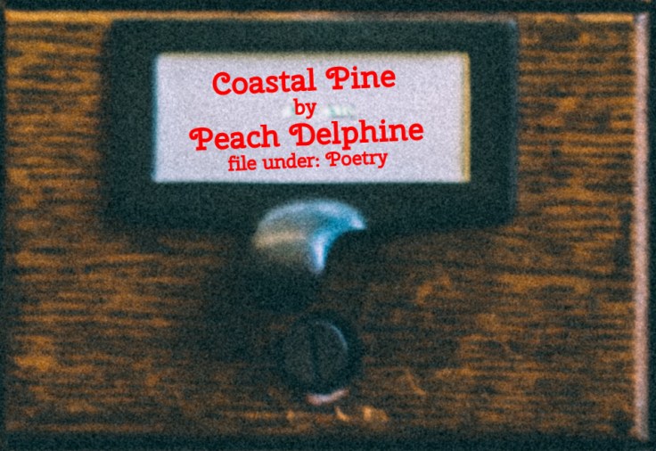 Cabinet Of Heed Contents Drawer 41.17