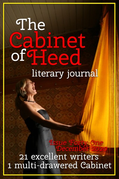 The Cabinet Of Heed Issue 41 Cover