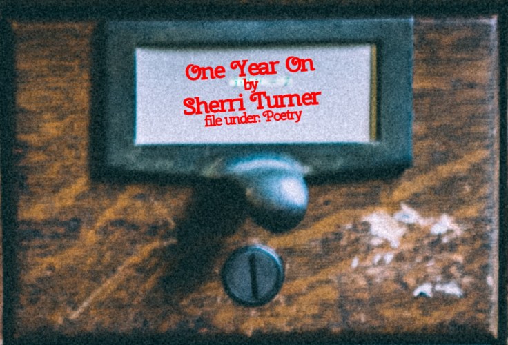 Cabinet Of Heed Contents Drawer 42.21