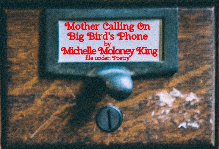 Cabinet Of Heed Contents Drawer 44.14