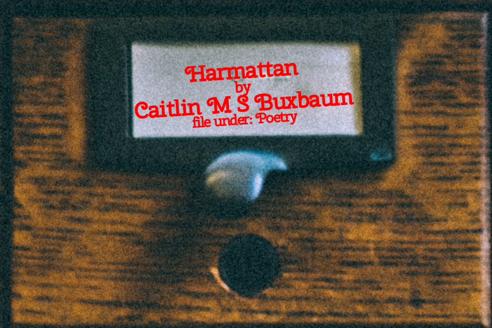 Cabinet Of Heed Contents Drawer 45.16