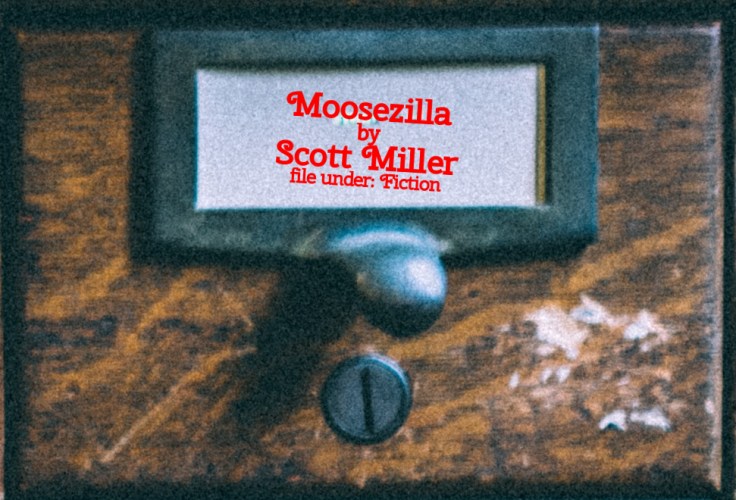 Cabinet Of Heed Contents Drawer 46.14