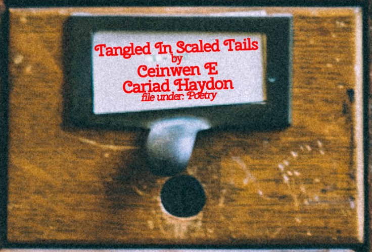 Cabinet Of Heed Contents Drawer 47.01