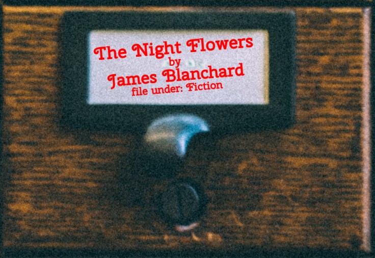 Cabinet Of Heed Contents Drawer 47.10