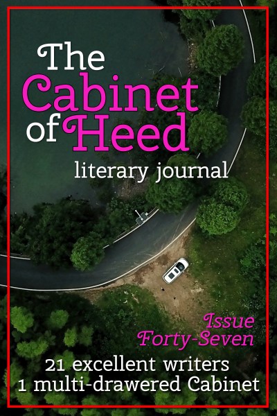 The Cabinet Of Heed Issue 47 Cover